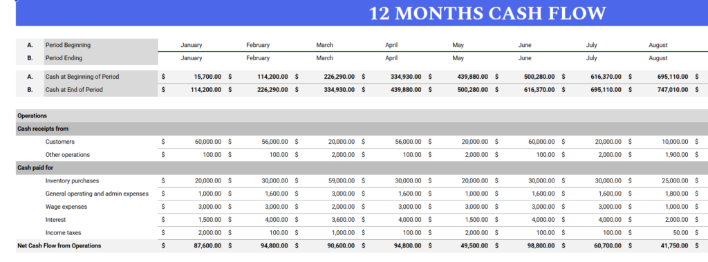 12 Months Cash Flow Preview