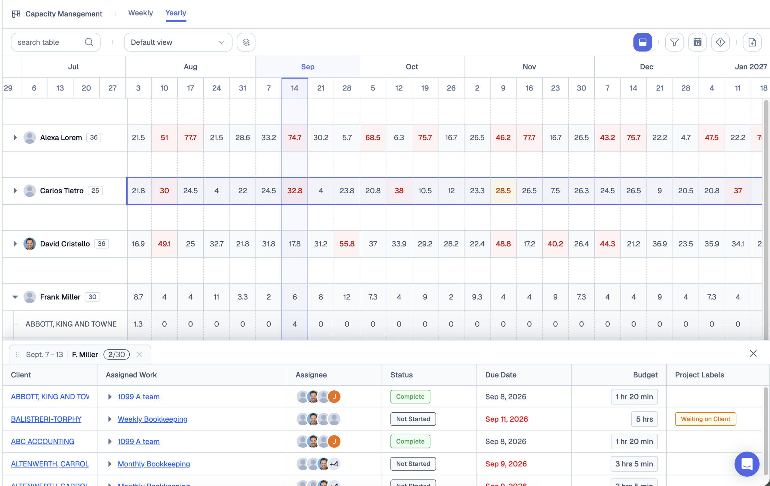 Yearly capacity planning view showing weekly hours per team member